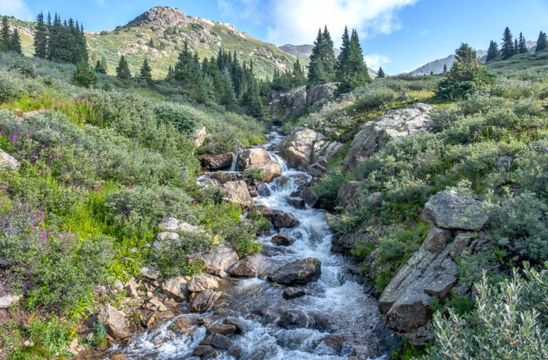 Linkins Lake: An Alpine Adventure - Wilderness Walks